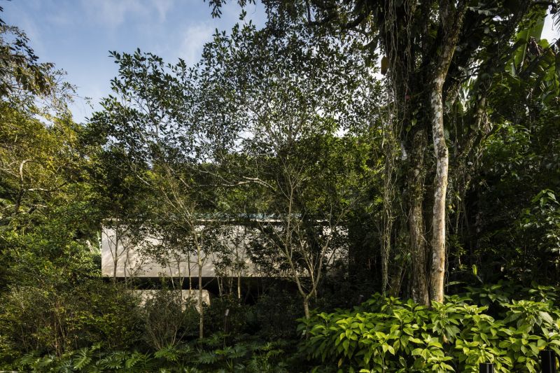 گالری عکس 5 ظهور خانه‌ای مدرن در دل جنگل‌های برزیل  عکس خانه ویلایی عکس فضا در معماری عکس کفپوش چوبی عکس معماری آمریکای جنوبی عکس معماری ارگانیک عکس معماری برزیل